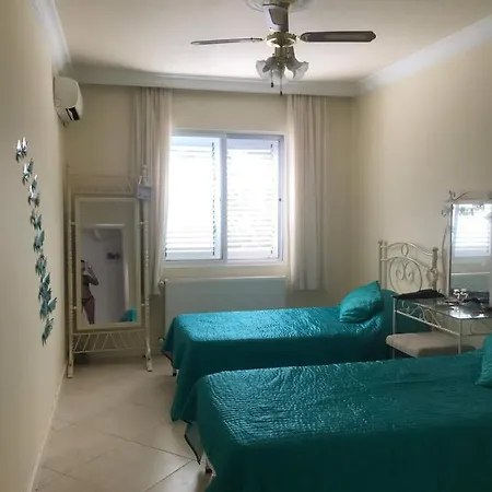 Australin Villa, Villa *